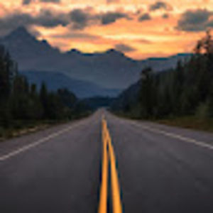 Meet your Posher, Terry